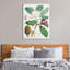 Magnolia Hodgsonii, 1855 by Walter Hood Fitch - Art Prints on Canvas-1714822296