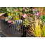 Rydell Metal Pot Planter-2073209801