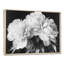 Pivoines en blanc et noir - impression sur toile encadrée de pivoines-1615423296-1860648354-1615423327