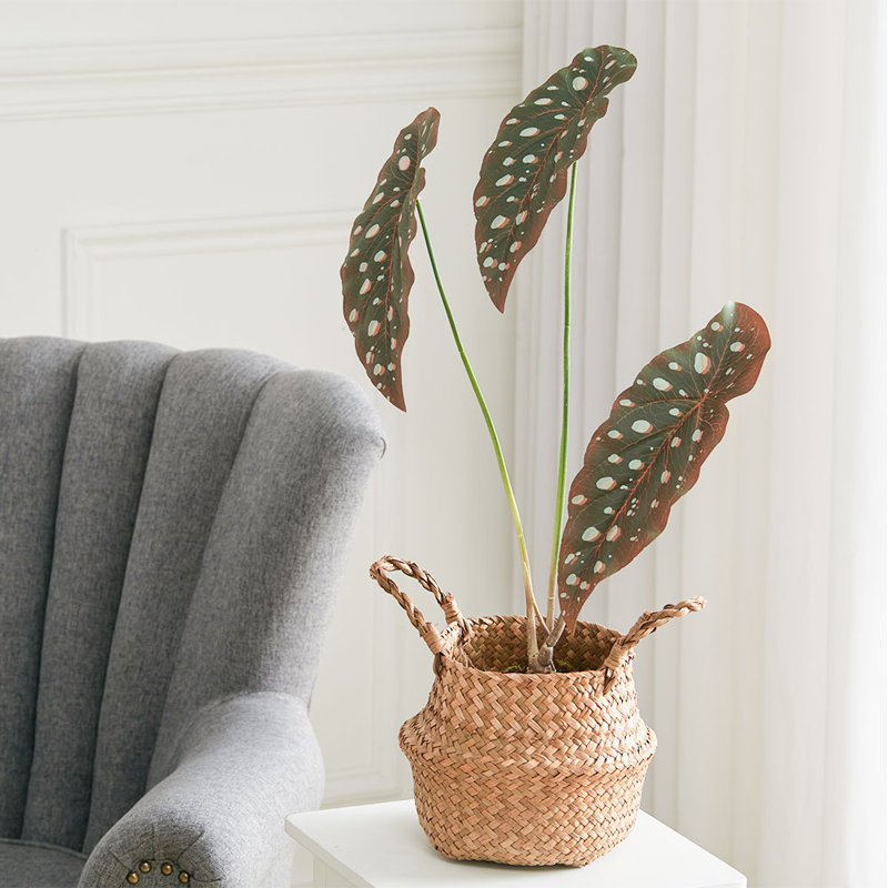 62.5cm Faux Elephant Ear Plant in Pot