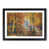 Black Framed selected