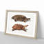 Two Terrapins by John Edward Gray - Picture Frame Painting Print-55605929-55605928