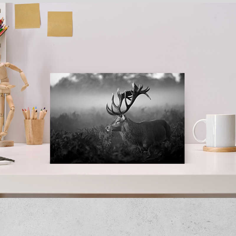 Impression d'art mural majestueux, cerf dans la brume, sérénité abstraite sereine, forêt naturelle, 12" H x 18" W