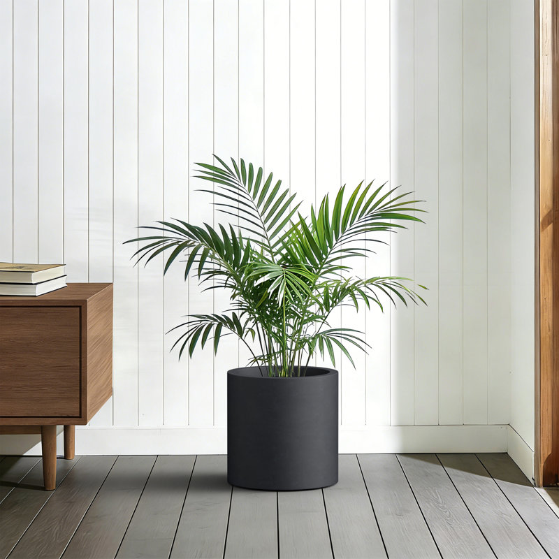 13in. Medium Matte Black(Upgraded Interior) Concrete Tall Round Planter Pot Cylindrical Planter with Drainage Hole
