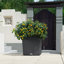 Moneak Planter Box-1392064357-1392064359