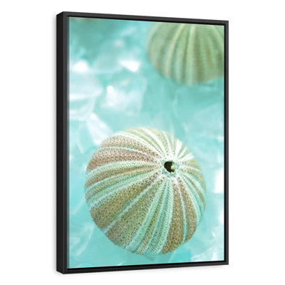Verre de mer IV