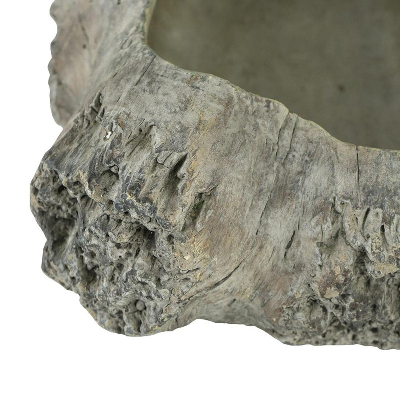16x9x5.5" Haven Cement Planter, 6" H x 16" W x 9" D