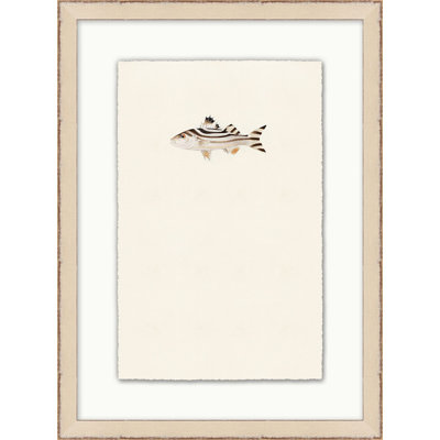 Petite Fish 1 Print