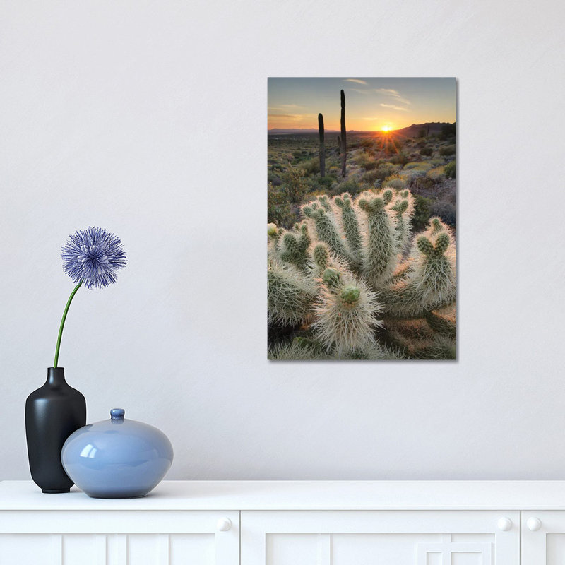 USA, Arizona Teddy Bear Cholla Cactus Illuminated by the Setting Sun, Superstition Mountains 1 Piece Wrapped Canvas Wall Art