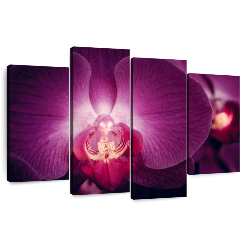 Harnek Purple Moth Orchid, 32'' H x 52'' W