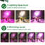 Maker Network Grow Light