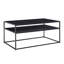 Kitten Frame Coffee Table with Storage