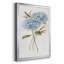 " Petite Blue Hydrangea I "-1515632946-1515632951