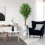 75 plantes-97992041