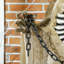 Halloween Decoration