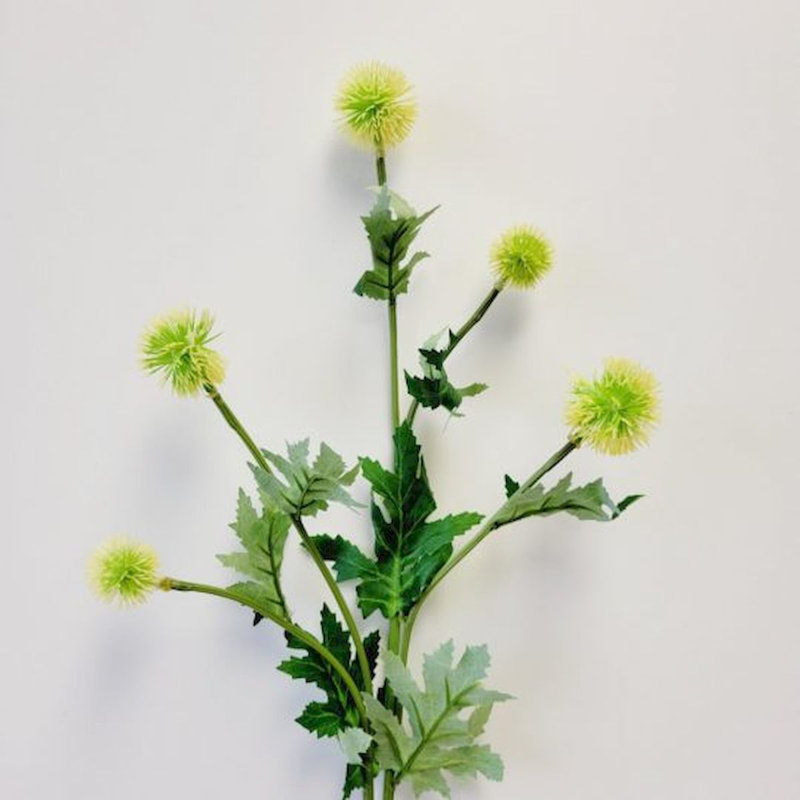 Fleurs de pissenlit, Vert