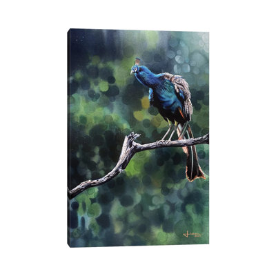 Perched Peacock by Liam Kumawat - Wrapped Canvas Print