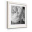 Renoncule foncé II - cadre photo-997390529-997338827-997338869