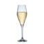 Toy's Delight Stems 8.5 oz. Flute