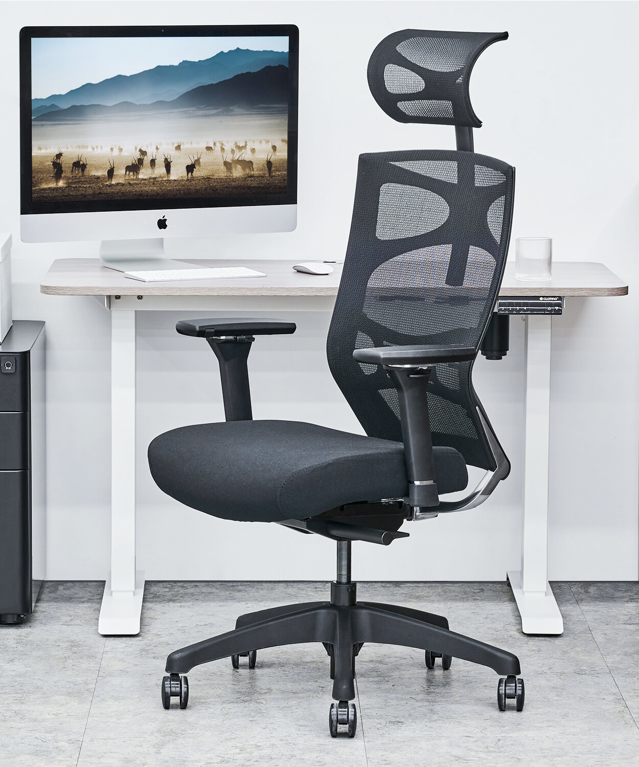 CLATINA Ergonomic Mesh Office Chair with Lumbar Support, Computer