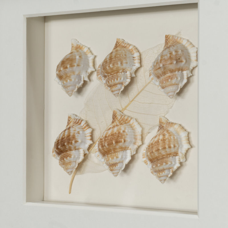 Handmade Coastal Nautical & Beach Wall Decor on Paper