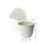 Ensemble de pots à fleurs en tibétain Tahmina-2142814033-2070182455-2070182448