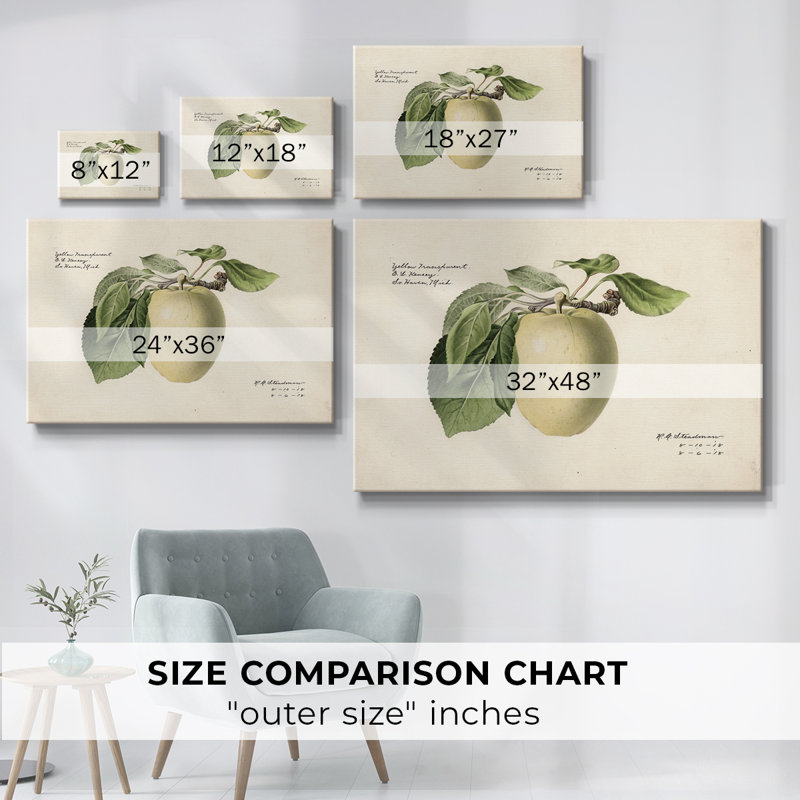 «Vintage Botanical - XLV» sur toile, H 9 po x l 13 po x P 1,5 po, Toile tendue