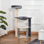 Crittenden 241.3cm H Cat Tree