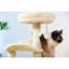 Arbre à chat 32,7 po pour petits chats-117069279