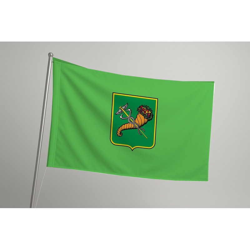 Drapeau de la ville de Kharkiv — Drapeau extérieur, H 24 po x l 36 po