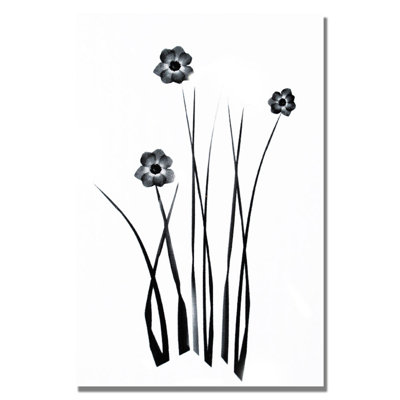 " White And Black Bunch " by Kathie McCurdy