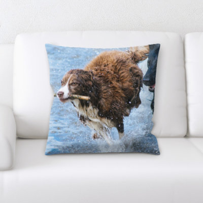 Microsuede Throw Pillow
