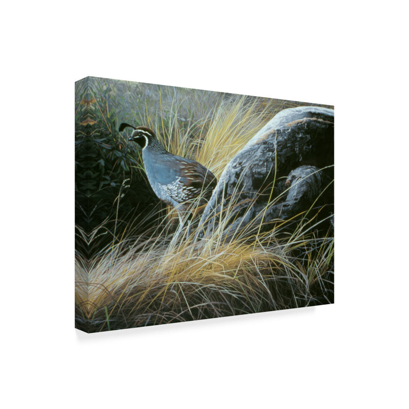 California Quail Landscape Framed Canvas Art 14x19