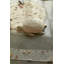 Sea Wonders Handmade Composite General Basket