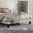 Upholstered Panel Bed-1201490185-1201490199