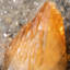 Calcite dorée sur la sphalérite