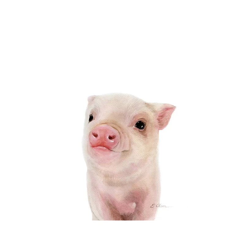 Baby Pig - Wrapped Canvas Painting, 30.48 cm H x 45.72 cm W