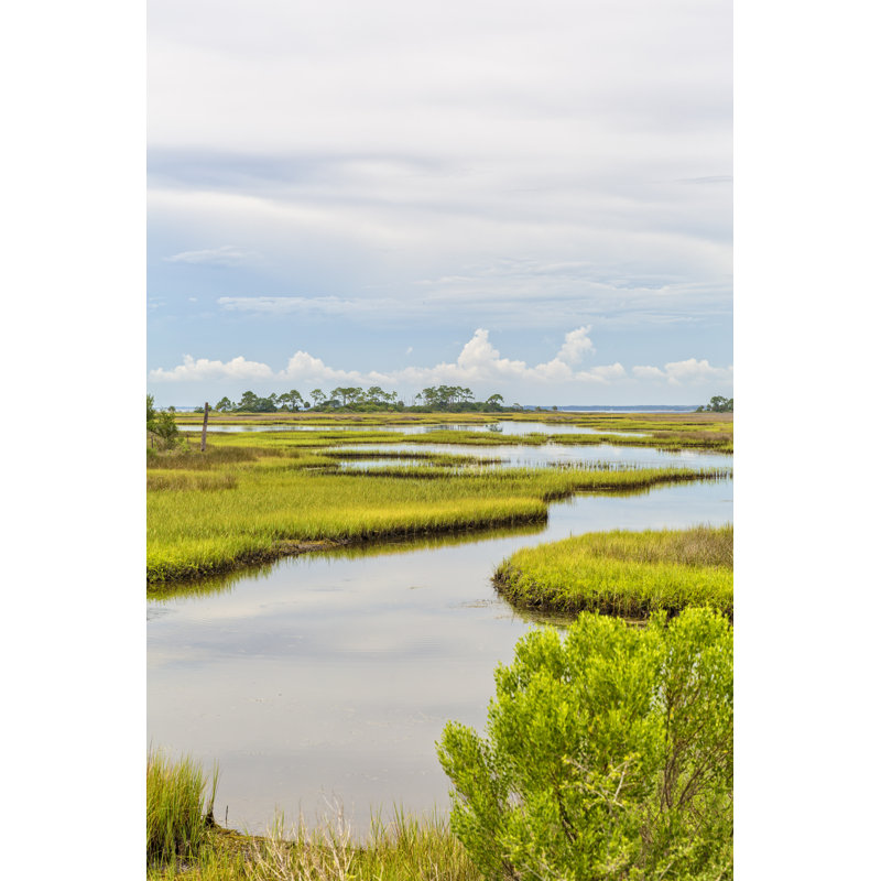 Florida Landscape - Wrapped Canvas Print, 30cm H x 20cm W x 3.8cm D