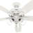 60" Dondra 5 - Blade Fan With Lights and Pull Chains-85433811