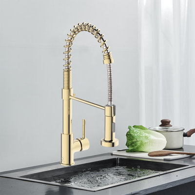 Dual-Function Sprinkler Kitchen Faucet With Pull-Down Sprinkler, Stainless Steel Faucet, Single-Handle Spring-Loaded Kitchen Faucet
