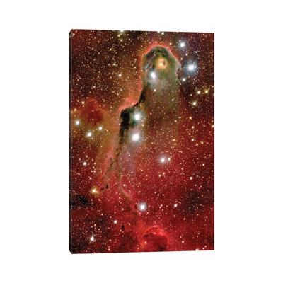 Emissions Nebula IC 1396 - reproduction d'art sur toile tendue