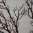 6ft. Pre-Lit Halloween Minimalist Twig Artificial Fall Tree with 320 Orange and Purple LED Lights