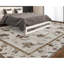 Dharma Oriental Area Rug