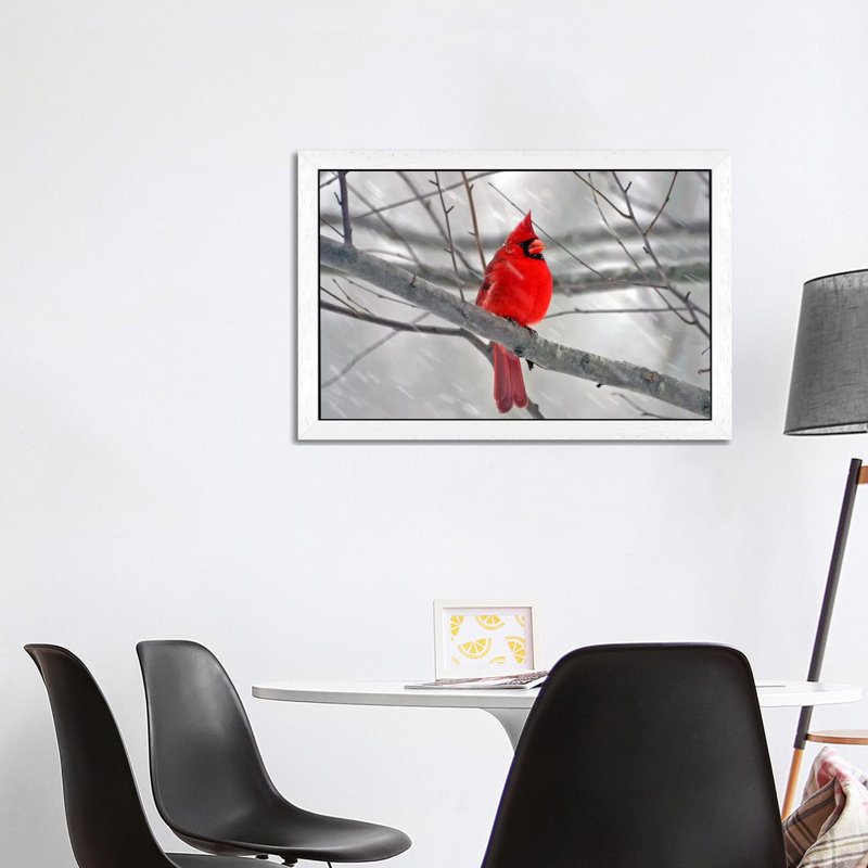 Cardinal Bird - Floater Frame Print on Canvas, 101.6cm H x 152.4cm W, White