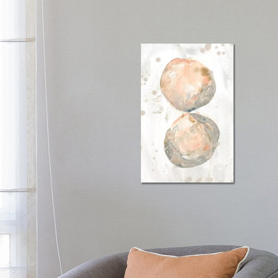 Muted Molusk II by June Erica Vess - Wrapped Canvas Gallery-Wrapped Canvas Giclée