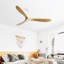 Ventilateur de plafond d'intérieur moderne de 60 pouces avec télécommande à 6 vitesses et 3 pales en bois massif pour le salon-1604327279-1604327272