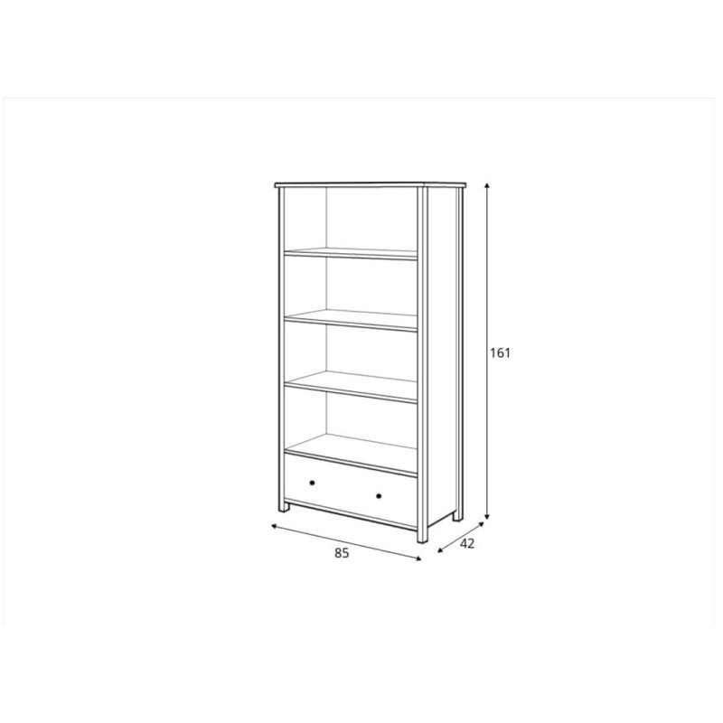 Nederland 161cm H X 85cm W Kids Book Display
