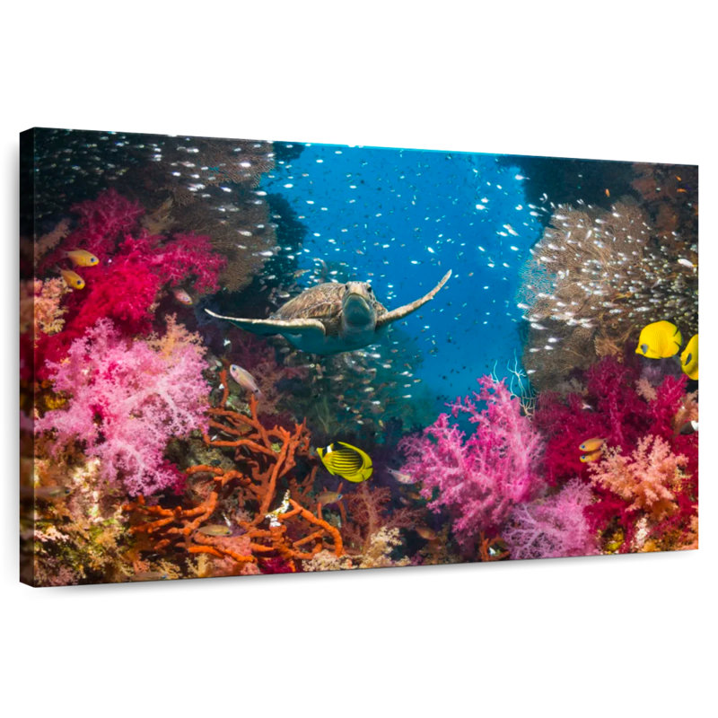 Underwater reef turtle Aletra, H 32 po x l 48 po