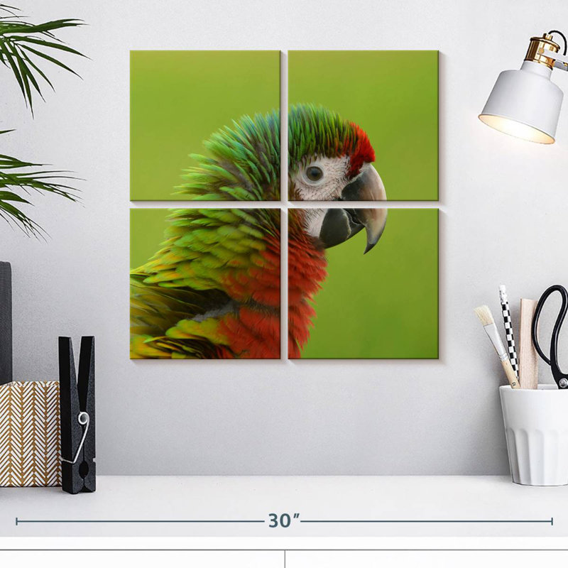 Brampt Macaw Bird Head, 18" H x 18" W