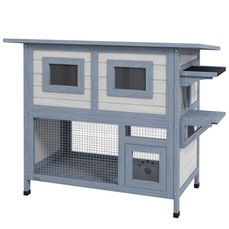 Maison d'extérieur pour chat avec de multiples caractéristiques pour un confort et un divertissement félins